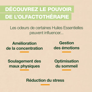 Pranarom - Brume dynamisante Energy - Bio - 50 ml