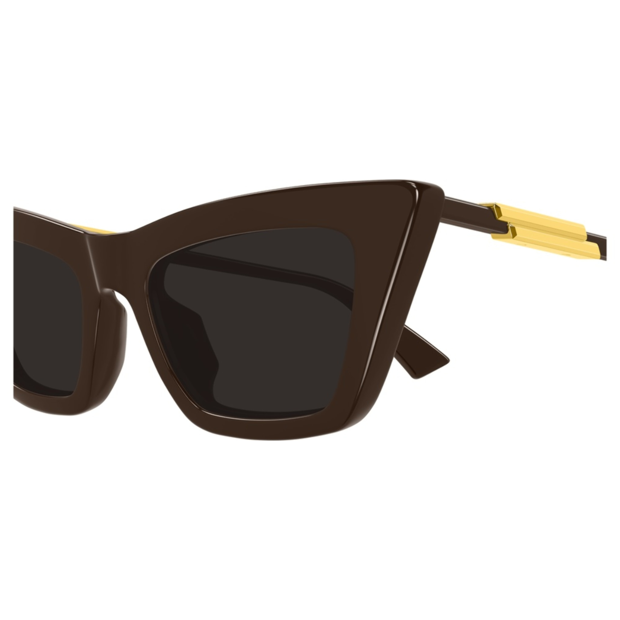 Gafas de Sol Bottega Veneta BV1446S-003 de Acetato Mujer 53 mm