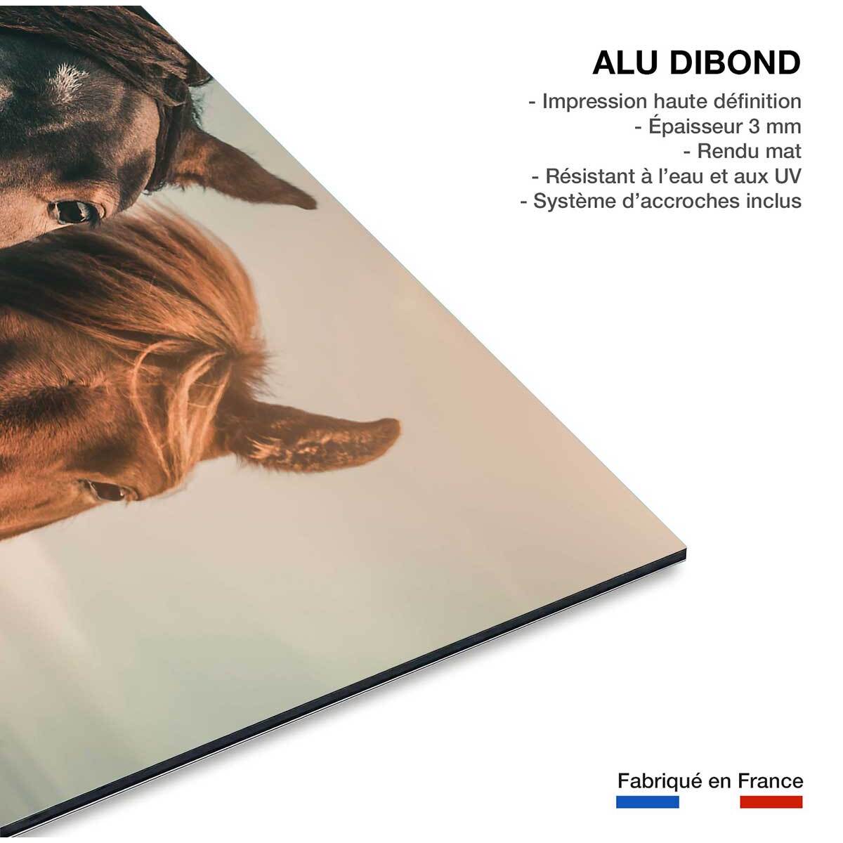 Tableau chevaux horse family  Tableau alu Dibond