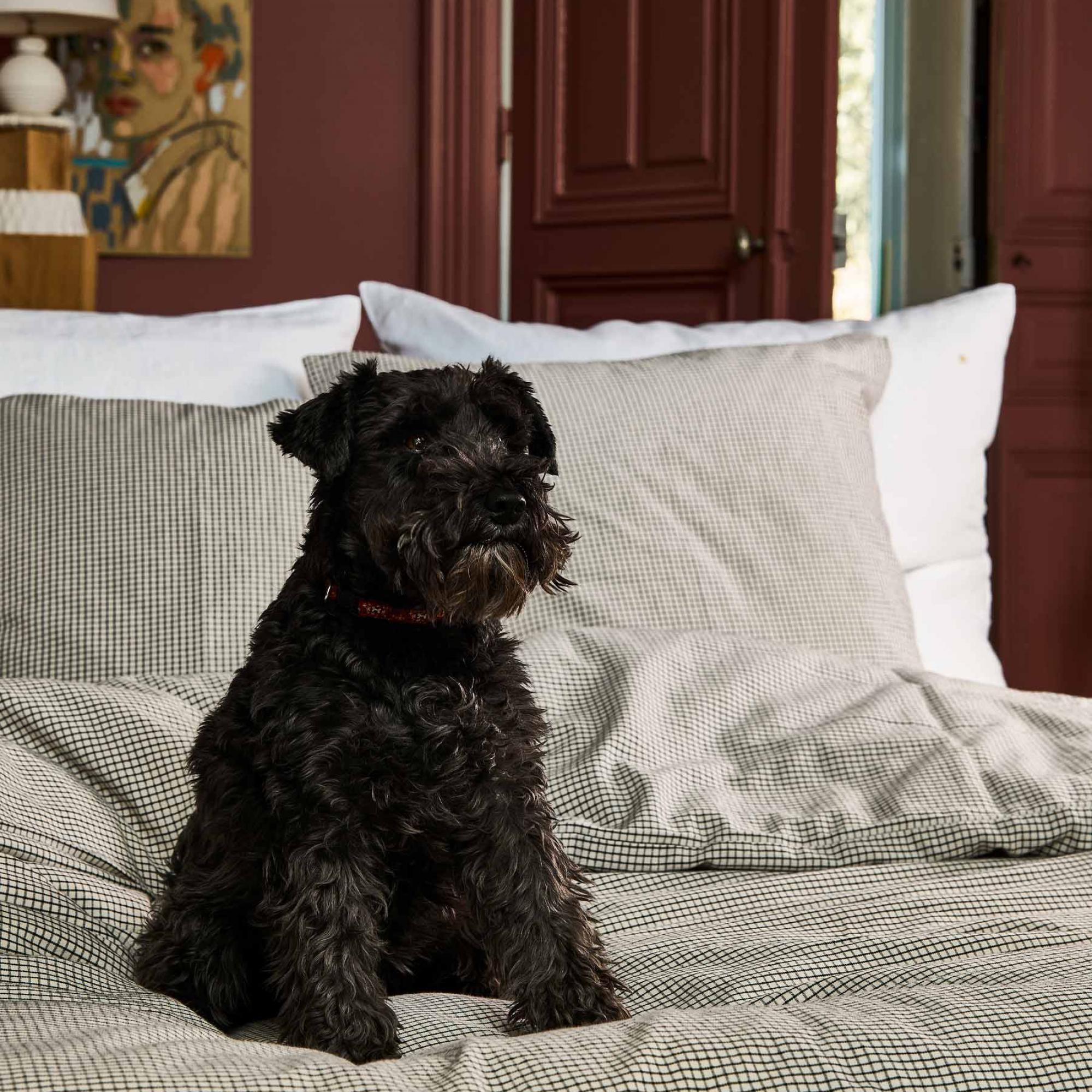 Taie d'oreiller Gustave