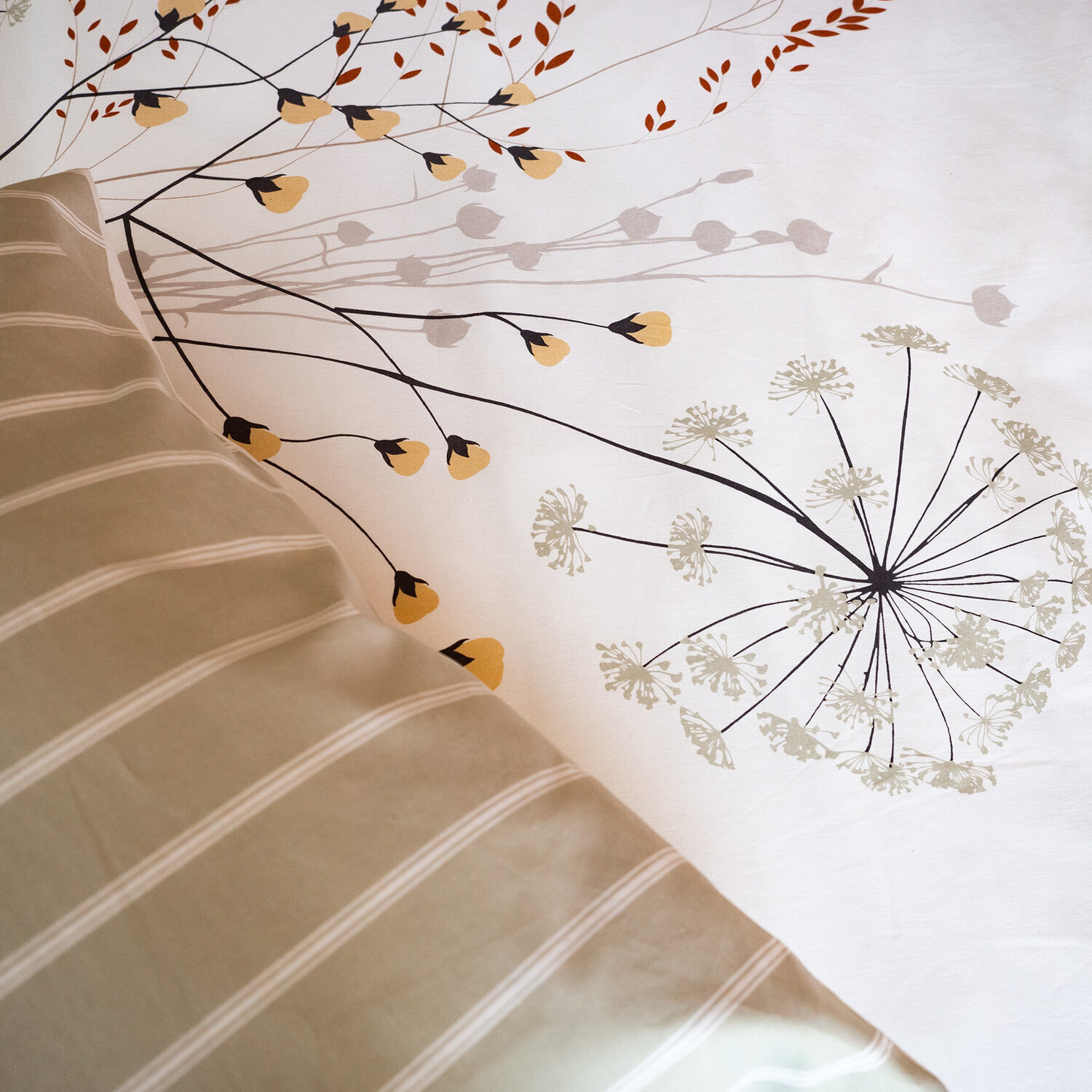 Parure housse de couette imprimé 100% coton - soliflore - blanc