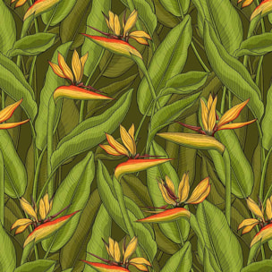 Papier peint Strelitzia vert Intissé