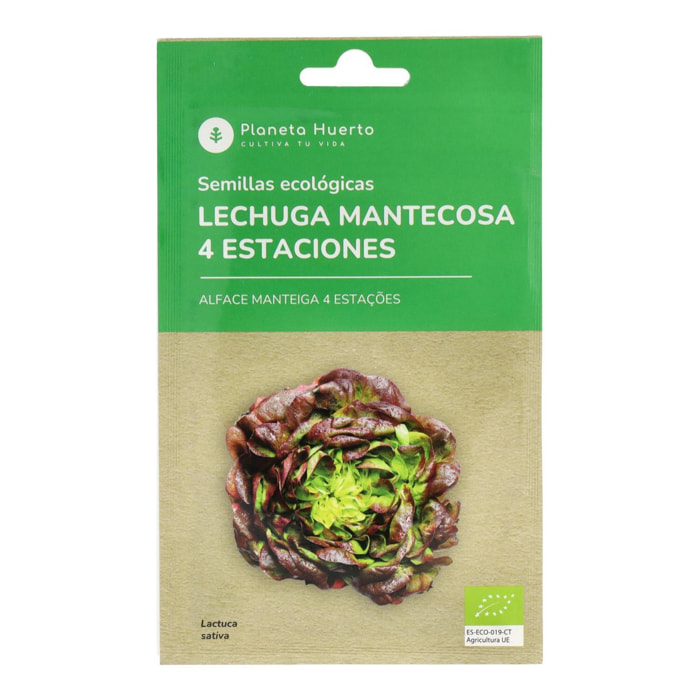 Semillas ecológicas de Lechuga Mantecosa 4 estaciones Planeta Huerto