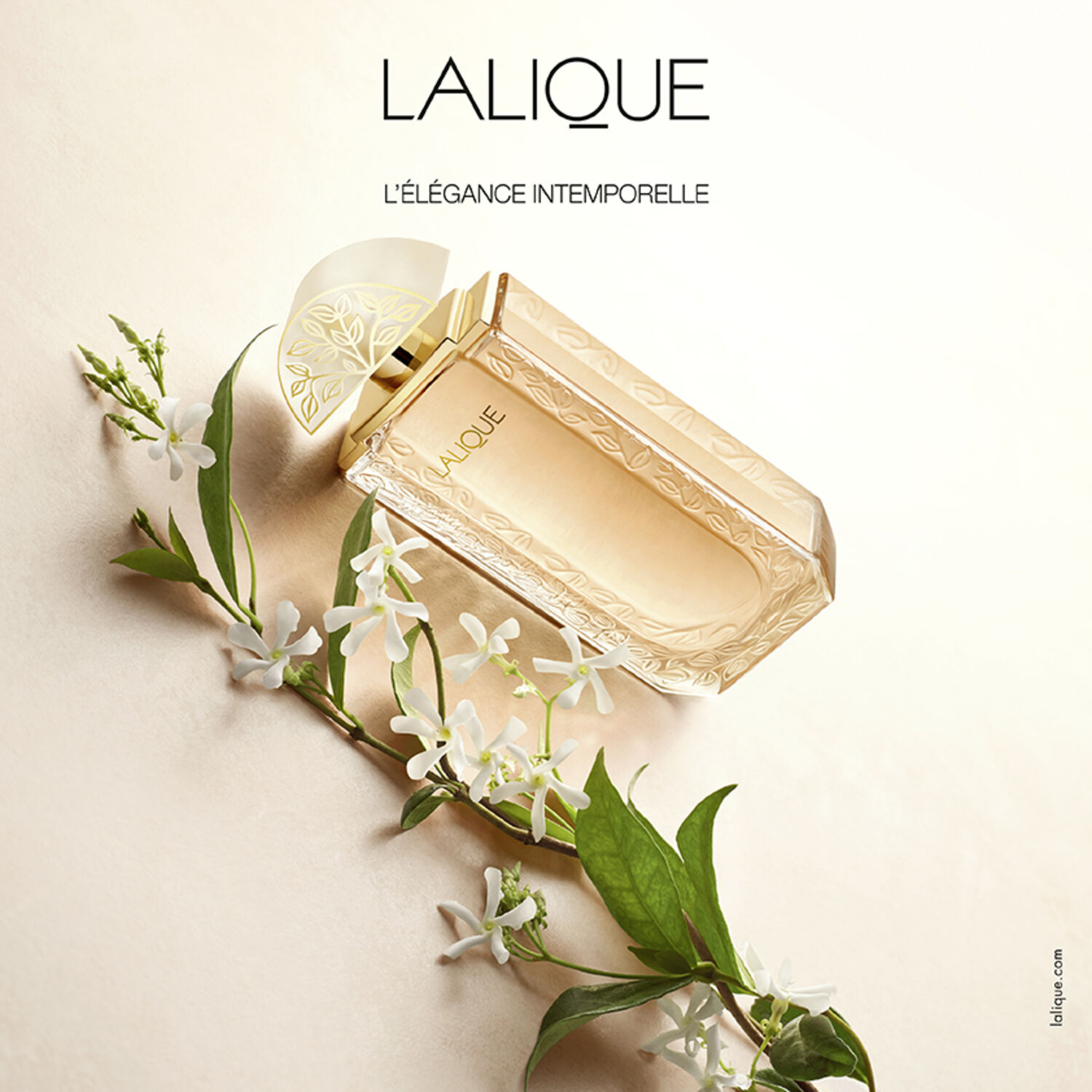 Lalique de lalique  - Eau de Parfum 100 ml