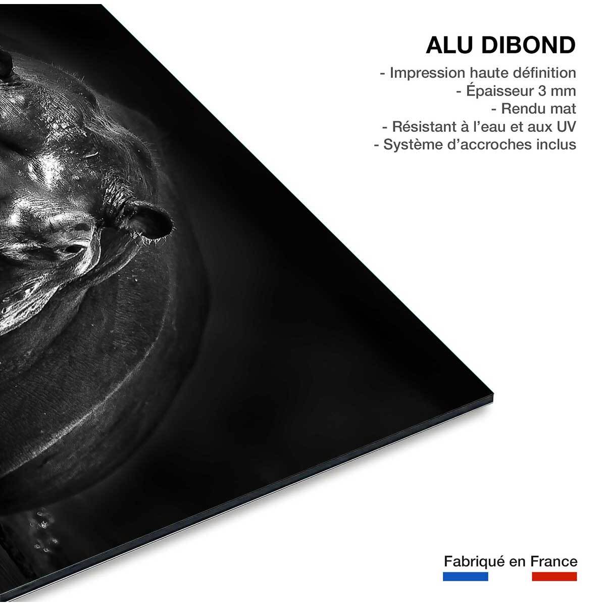 Tableau animaux portrait hippo Tableau alu Dibond