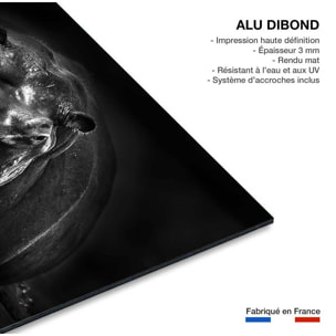 Tableau animaux portrait hippo Tableau alu Dibond