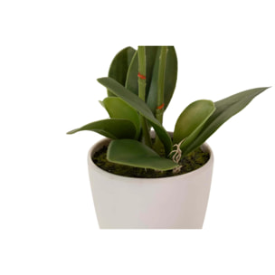 Orquidea Poliester Blanca Con Maceta 20x20x36 Cm