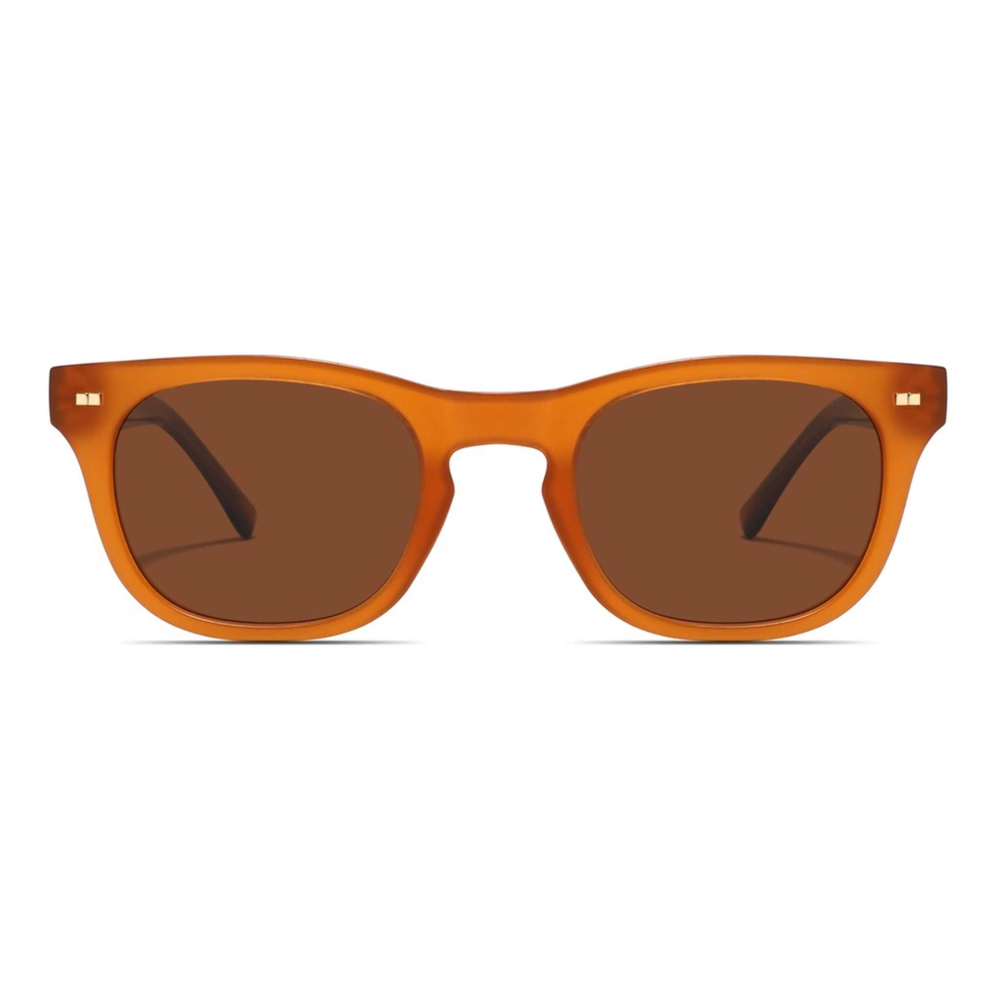 Gafas de Sol Feler 8937-2 Polarizadas de Acetato Unisex 48 mm