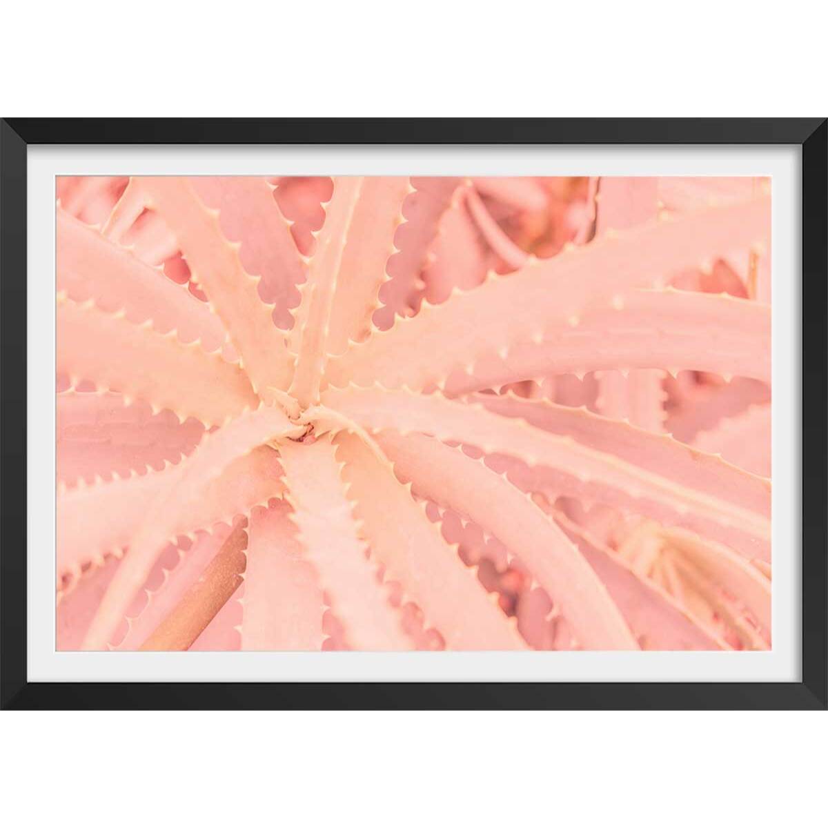 Affiche cactus rose art Affiche + cadre en bois - Noir