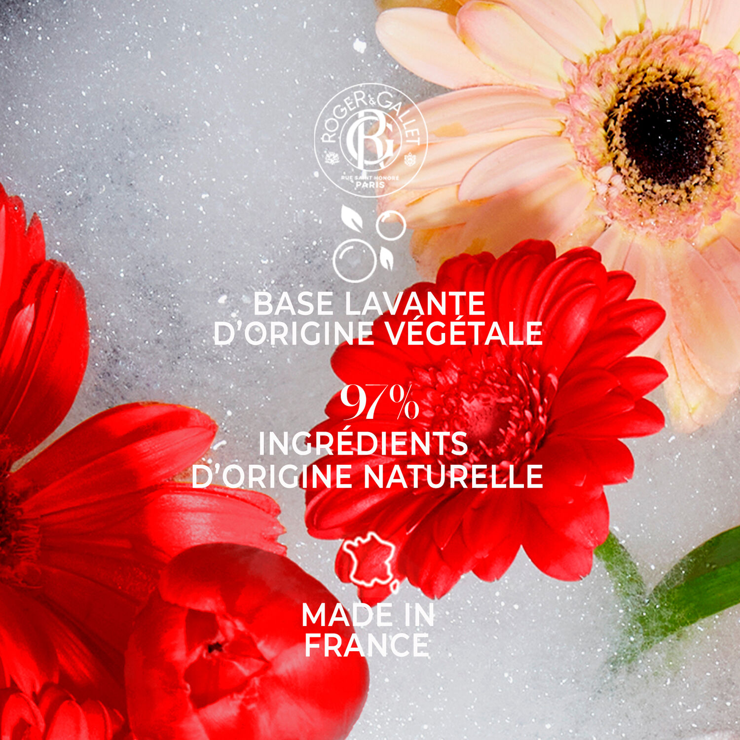 Fleur de Figuier, Gingembre, Rose - Coffret 3 Savons Bienfaisants 100g