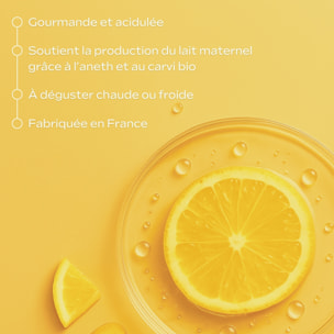 WELEDA - Tisane Allaitement Citron Gingembre - 20x2 g
