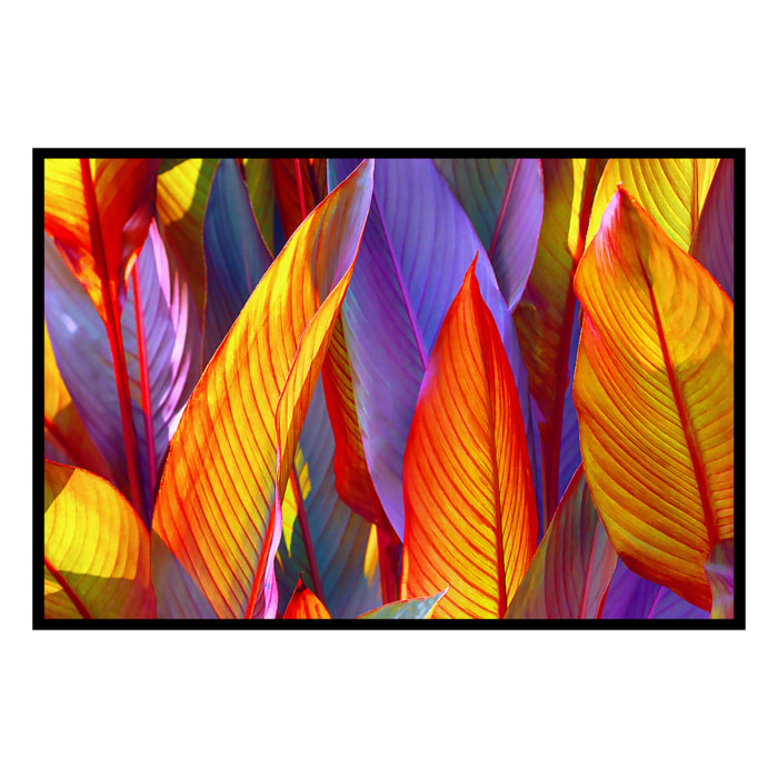 Affiche encadrée feuillage tropical aux couleurs vives Affiche + cadre en métal - Noir