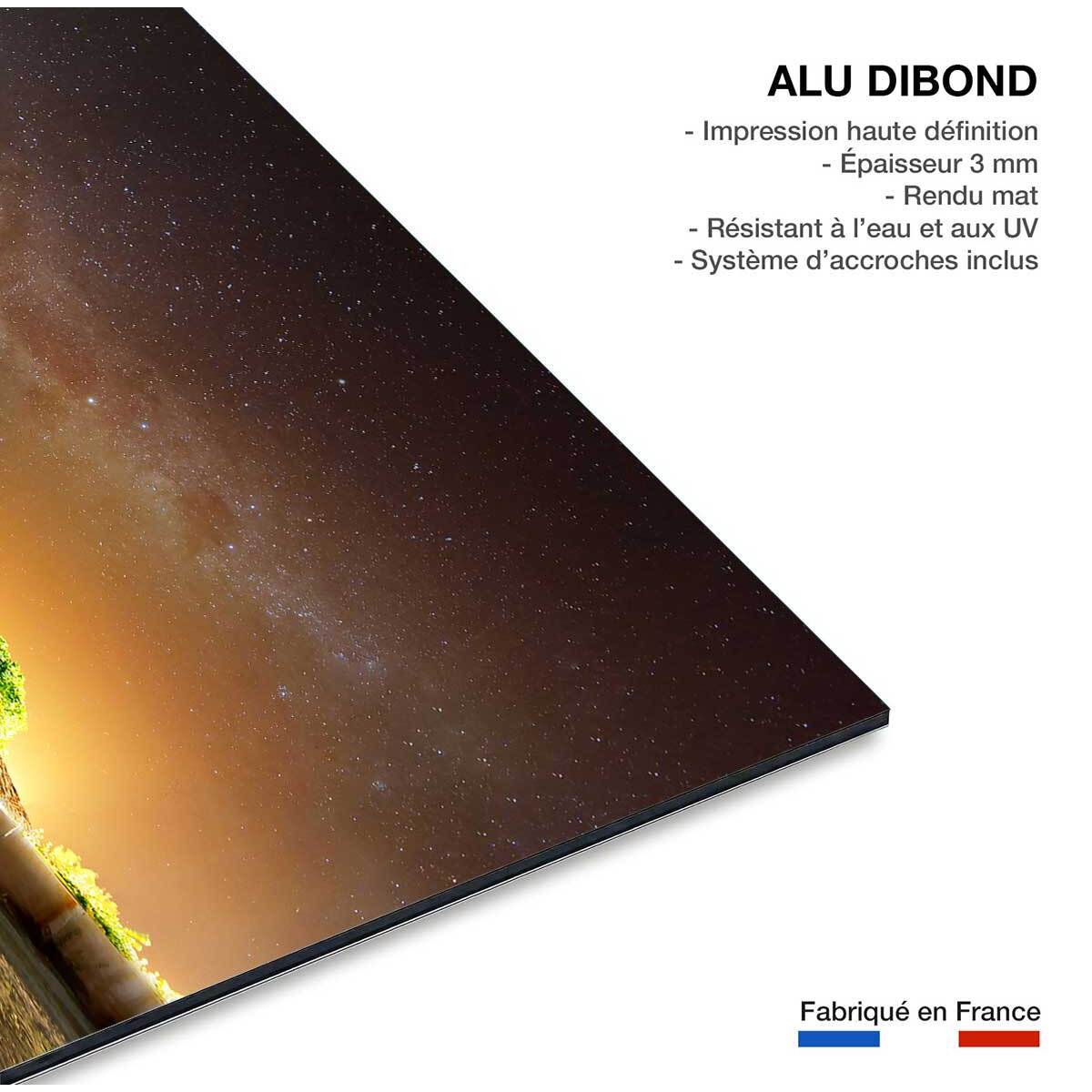 Tableau décoratif sous le ciel étoilé de zanzibar Tableau alu Dibond