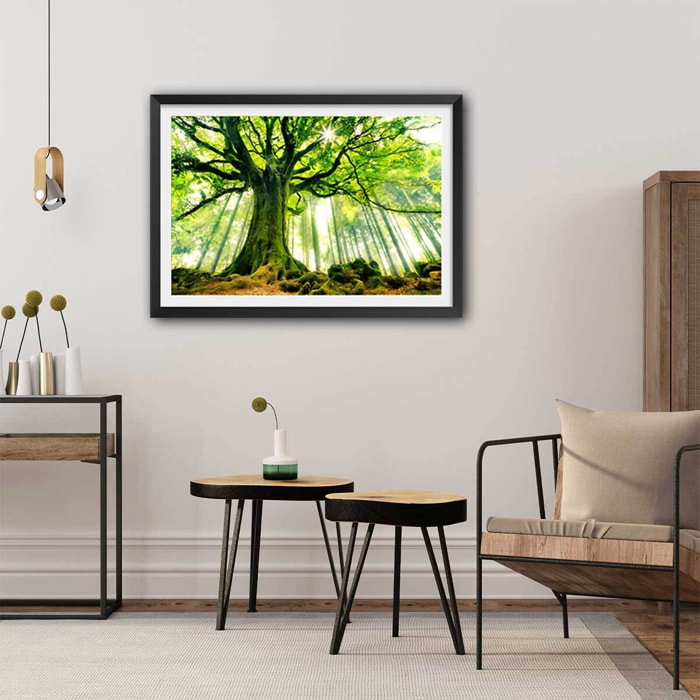 Affiche nature l 'hêtre de ponthus Affiche sous cadre noir