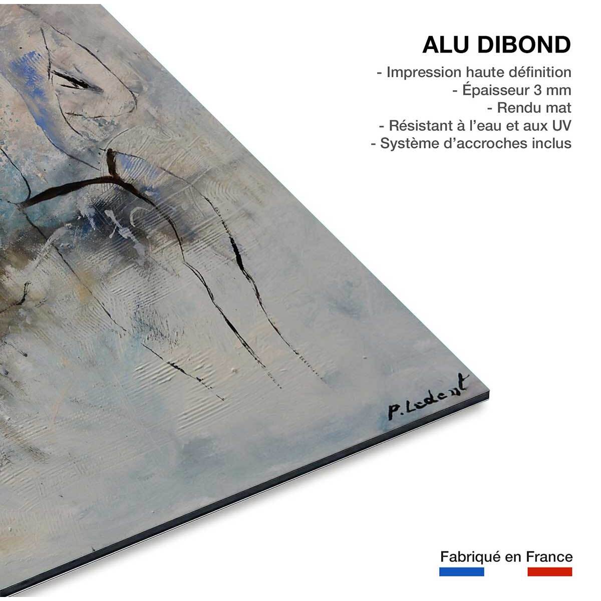 Tableau nue de dos Tableau alu Dibond