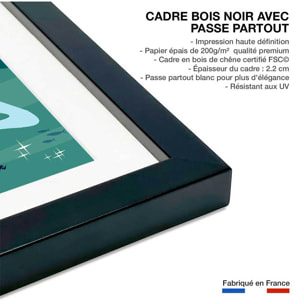 Poster de vedette du lac d' annecy Affiche sous cadre noir