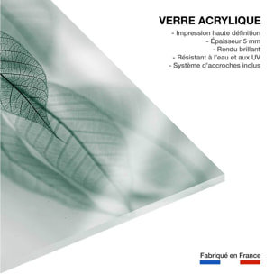 Tableau feuille leaf  Tableau plexiglas