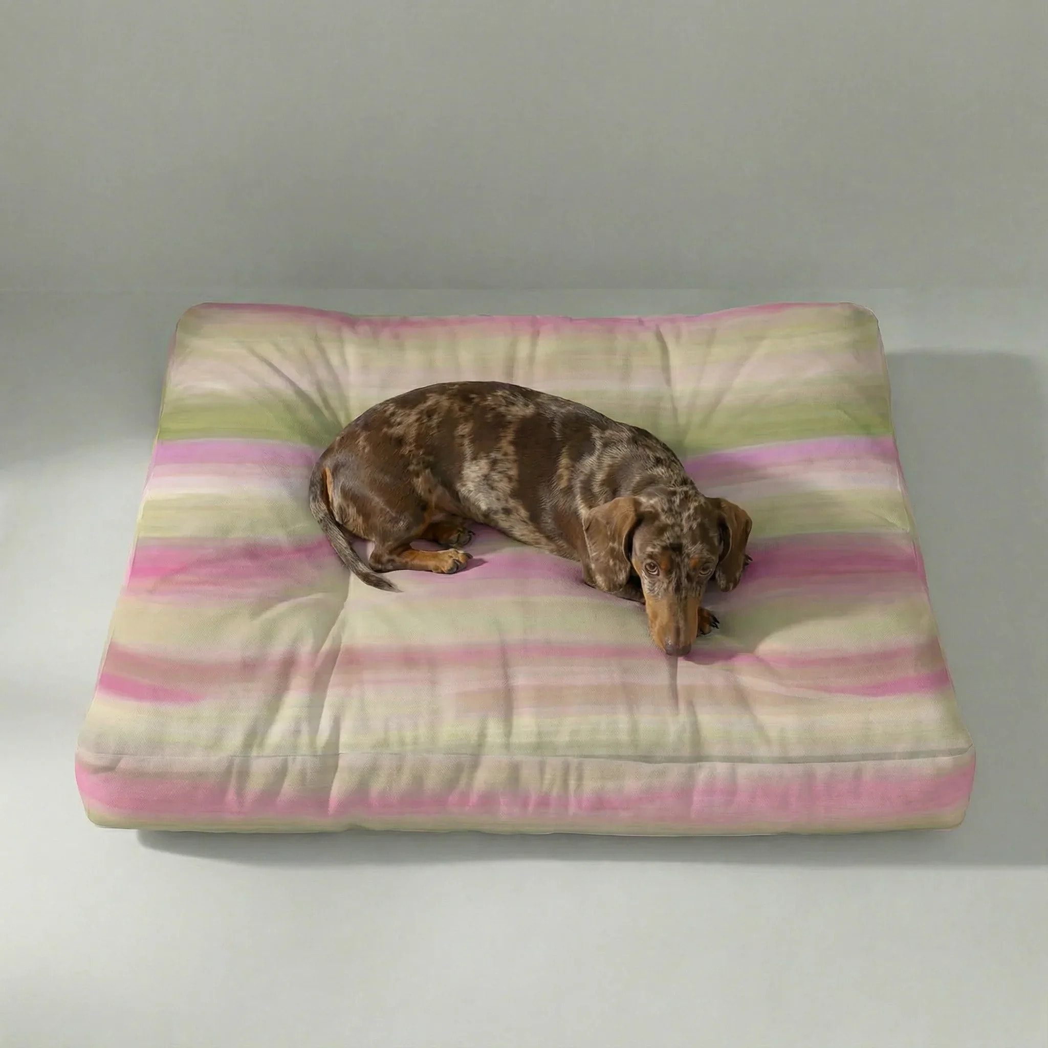 Lit pour animaux antitaches Exeter Vert