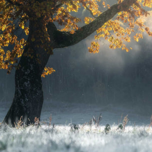 Affiche paysage Souffle d'hiver Affiche sous cadre bois