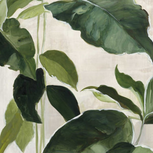 Poster Aquarelle botanique Affiche sous cadre noir