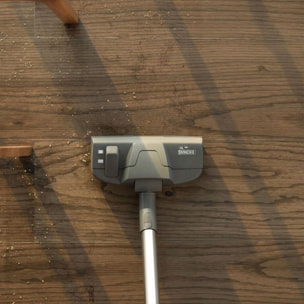 Aspirateur laveur THOMAS Pet & Family Aqua+ (788568)