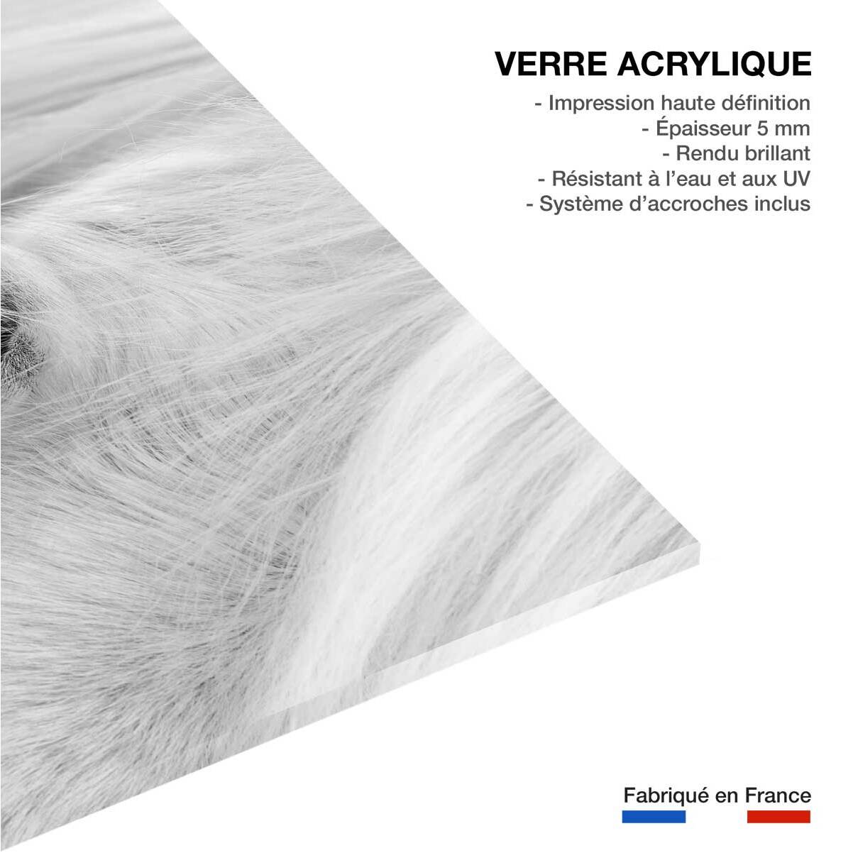 Tableau cheval blanc d' Islande Tableau plexiglas