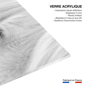 Tableau cheval blanc d' Islande Tableau plexiglas