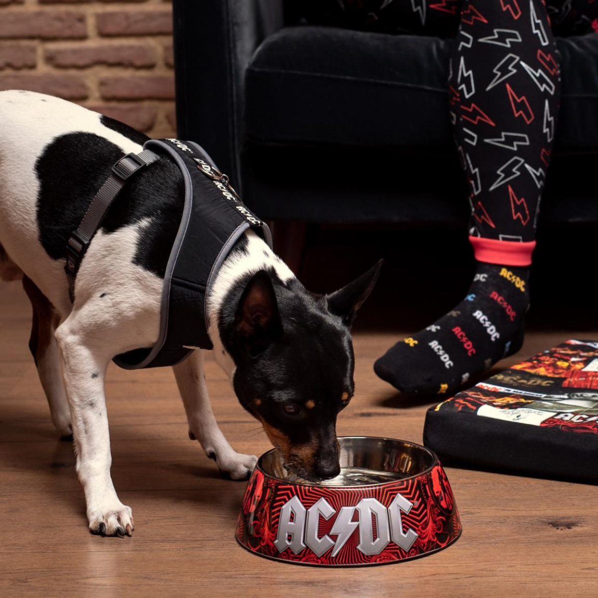 AC/DC Ciotola per cane S 180 ml For Fun Pets Cerdà