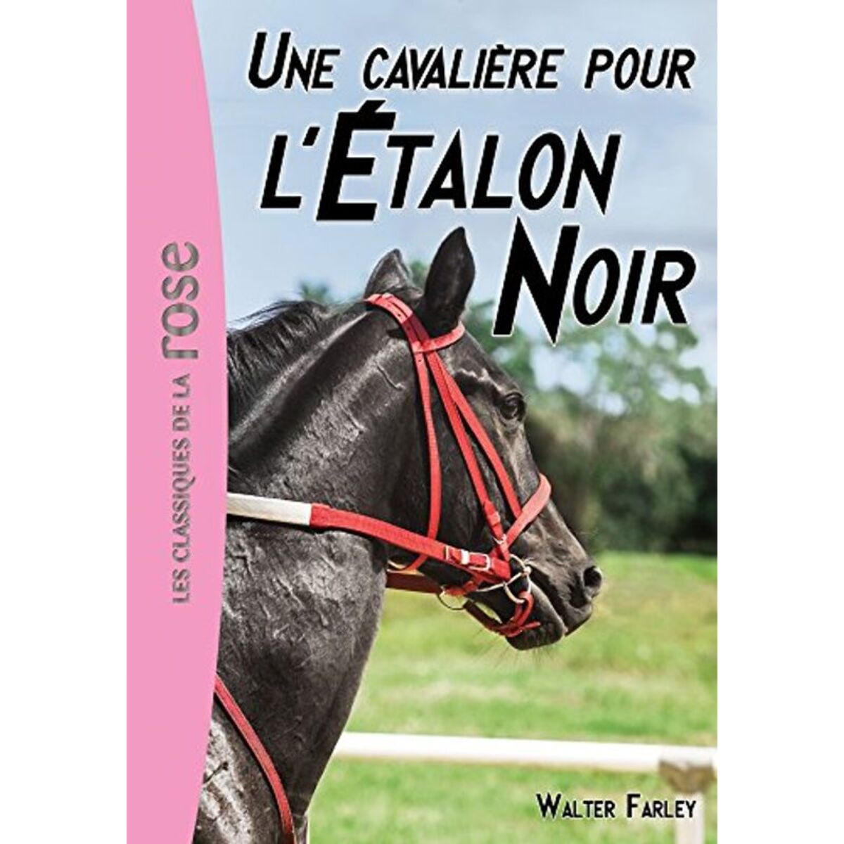 Farley, Walter | L'Étalon Noir 18 - Une cavalière pour l'Etalon Noir | Livre d'occasion