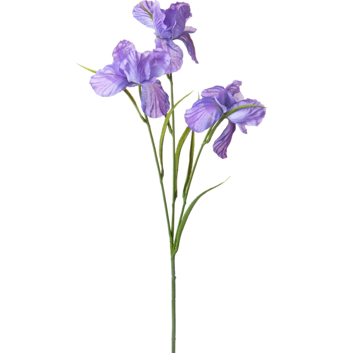 Iris 60 Cm Per 3 Fiori - Pezzi 12 - 15X60X16cm - Colore: Viola - Bianchi Dino - Fiori Artificiali