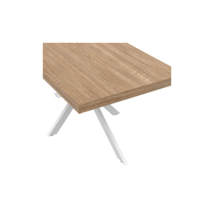 Table repas Brixton pieds spider