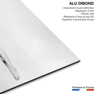 Tableau connu - Sophia Loren La péniche du bonheur Tableau alu Dibond