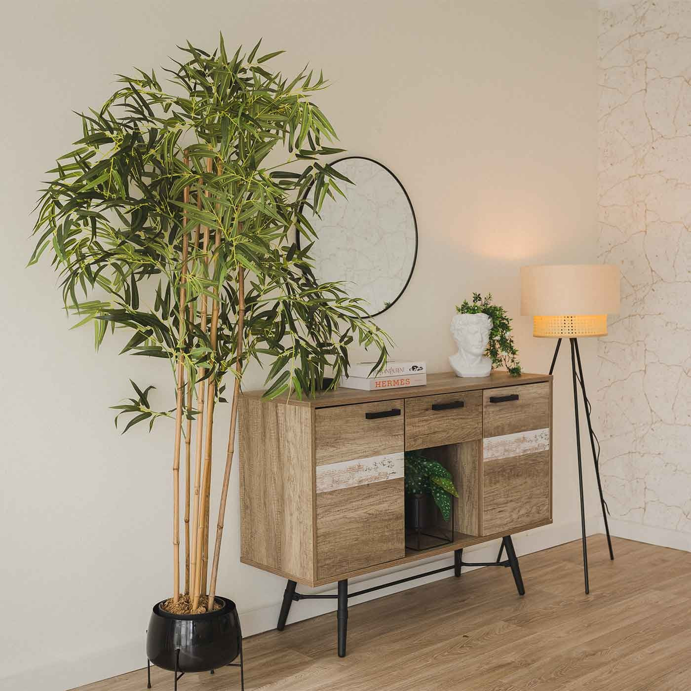 Plante bambou kayla 180cm