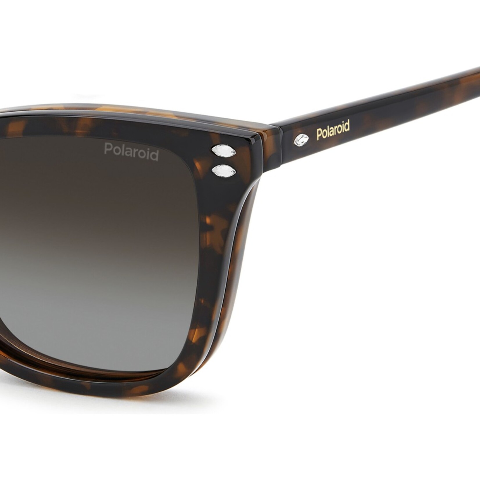 Gafas de Vista Polaroid PLD D603/C 086 Polarizadas de Tr90 Mujer 54 mm