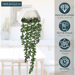 Planta colgante de pared 45 cm- Atmosphera