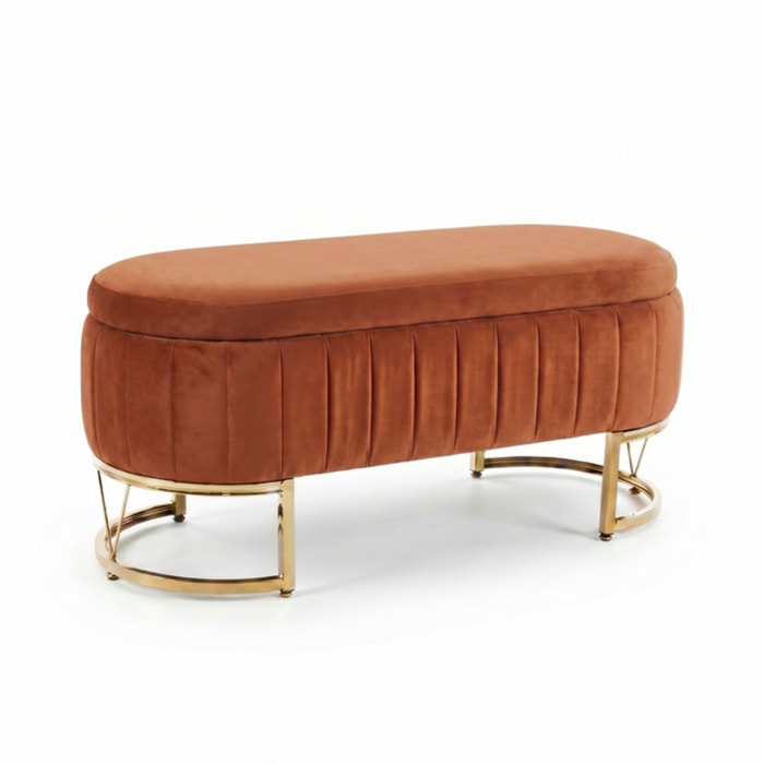 Panca Contenitore Ovale in Effetto Velluto con Ampio Vano Contenitore, Seduta Imbottita e Gambe in Acciaio, Design Elegante per Camera da Letto, Ingresso e Soggiorno