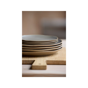 Assiette plate Shoku