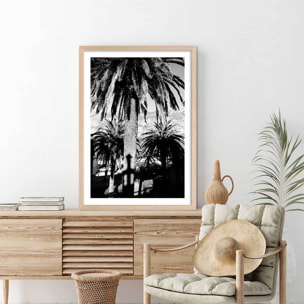 Affiche noir et blanc palmiers monténégro Affiche + cadre en bois - Chêne