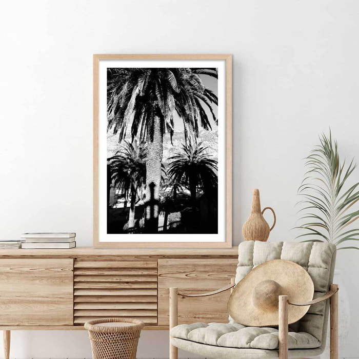 Affiche noir et blanc palmiers monténégro Affiche + cadre en bois - Chêne