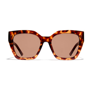 Gafas De Sol D. Franklin Rizz Tort /Brown