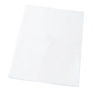 AEG Filtro de aspiradora AEF54