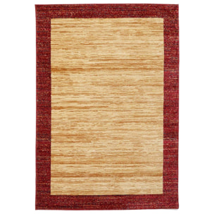 Tapis salon et chambre tissé motif simple TECU