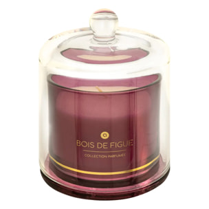 Bougie parfumée Ilae 240g cloche verre figue