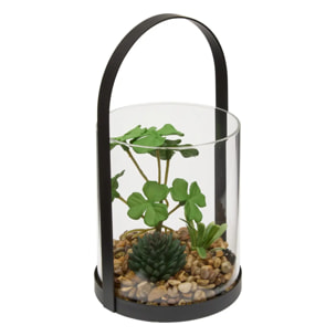 Terrarium Wilo 11x10cm