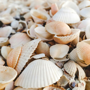 Housse de couette 100 % coton 80 fils Gavina