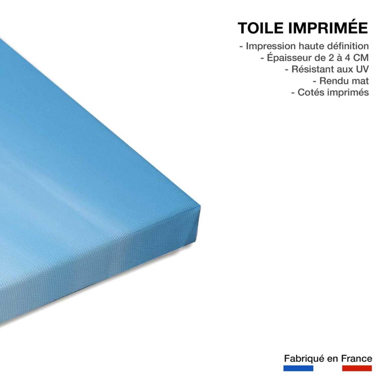 Tableau plage les parapluies de deauville  Toile imprimée