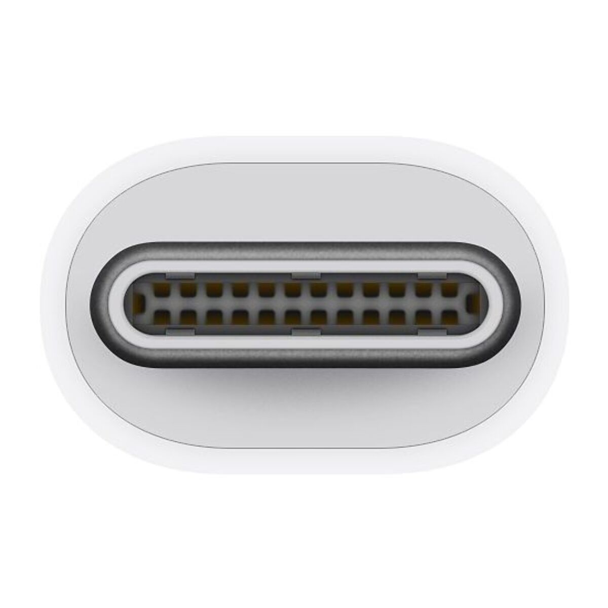 Adaptateur USB C APPLE Thunderbolt 3 USB-C / Thunderbolt 2