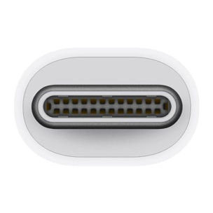 Adaptateur USB C APPLE Thunderbolt 3 USB-C / Thunderbolt 2