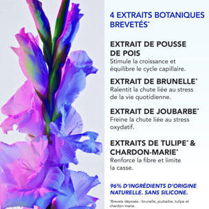 Phytophanere - Antichute Réactionnelle - 12 Ampoules x 5ml