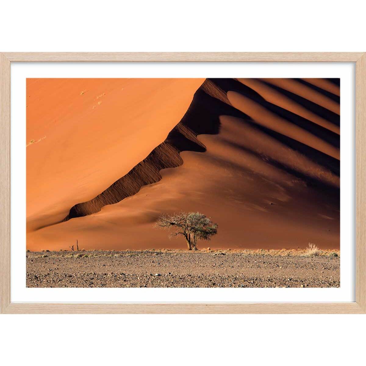 Affiche L'arbre sur la dune, Namibie Affiche + cadre en bois - Chêne